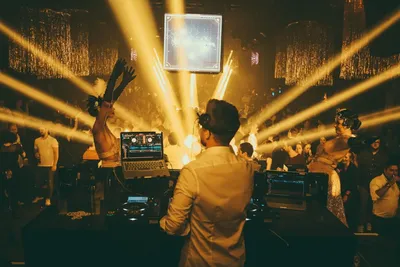 Business & Bass